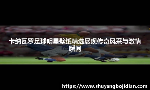 卡纳瓦罗足球明星壁纸精选展现传奇风采与激情瞬间