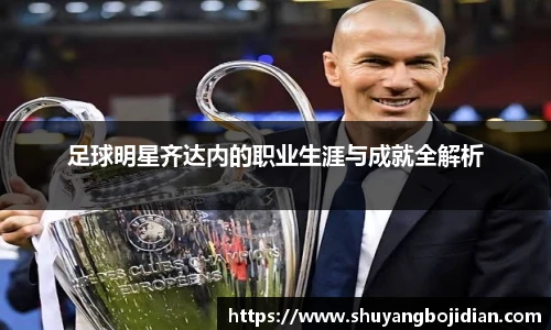 足球明星齐达内的职业生涯与成就全解析